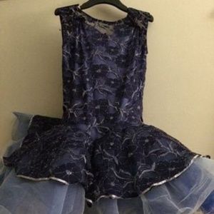 Dance Costume tutu dress